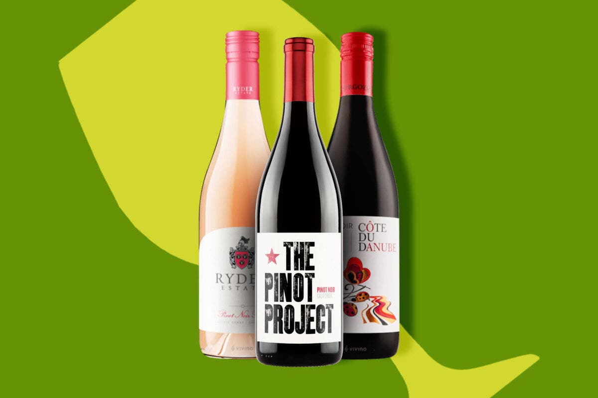 Domaine les Poëte 2020 Odyssée | Pinot Noir 0,75cl