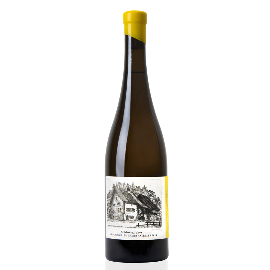 Muscaris Happy Duchy