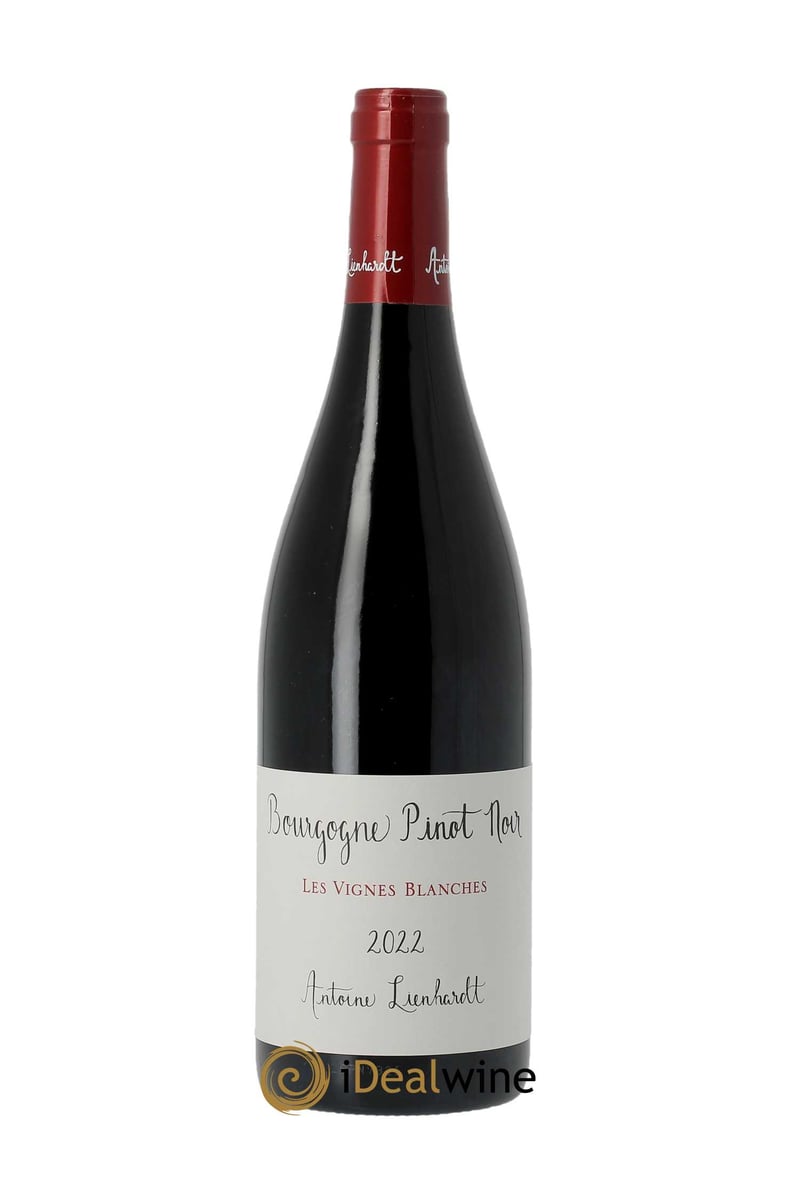 Antoine Lienhardt Bourgogne En Phase 2022