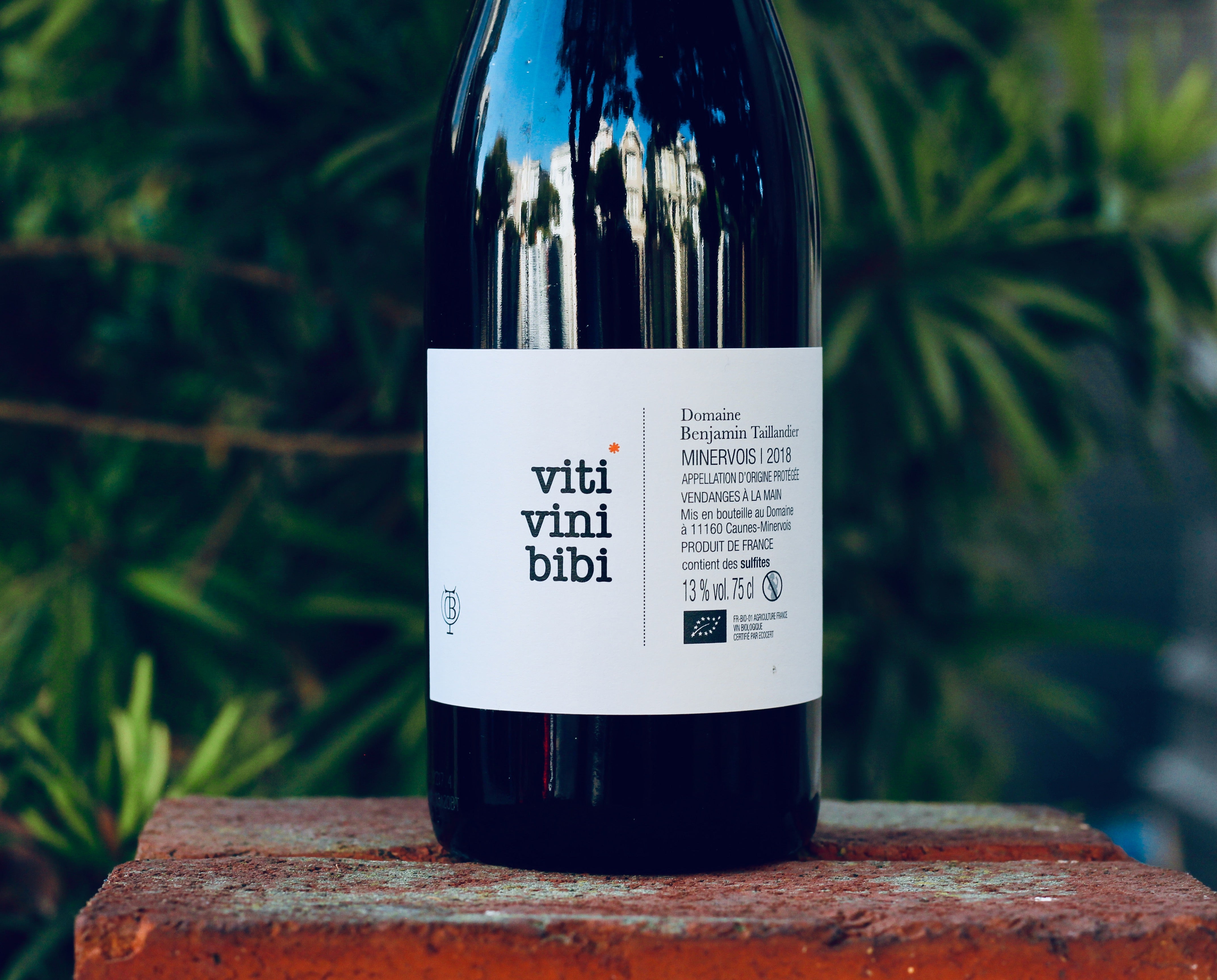 VITI VINI BIBI MAGNUM 0,75cl